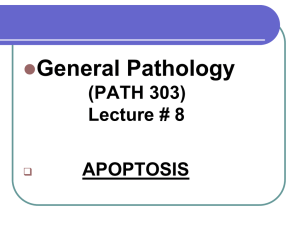06-Apoptosis and gangrene