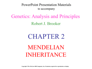 Mendelian Inheritance