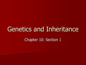 Genetics and Inheritance