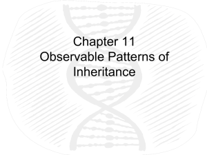 Chapter 11 Observable Patterns of Inheritance