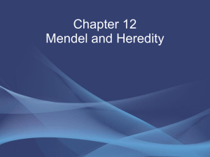 Mendel and Heredity - Glasgow Independent Schools