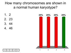 How many chromosomes are shown in a normal human karyotype?
