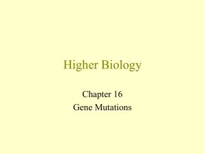 Higher Biology