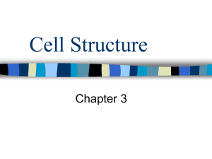 Cell Structure