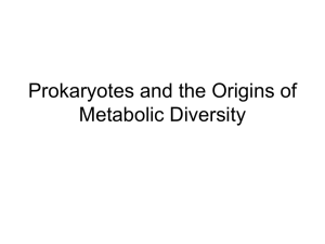 Prokaryotes and the Origins of Metabolic Diversity