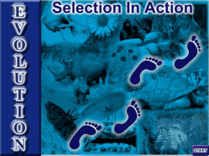 3. Evolution-Selection