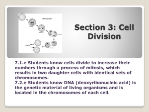 4.3 Cell Division