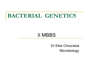 bacterial genetics