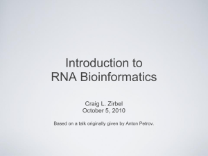 2010 RNA_Bioinformatics Lecture 1