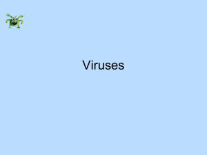 Viruses - St Mary