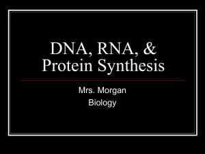 DNA and RNA - Biology Room 403