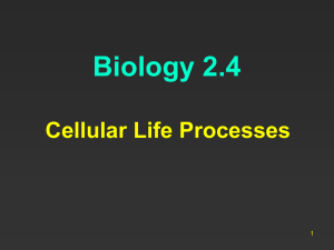 Cell Biology Form and Function - This area is password protected