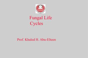 Lecture 3-Fungal Life Cycle