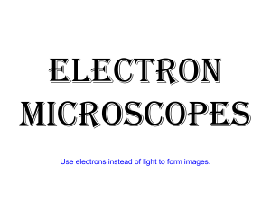 Electron Microscopes PowerPoint