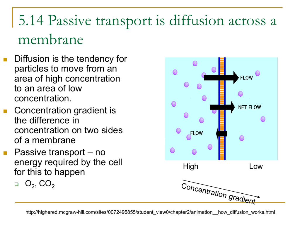 5-14-passive-transport-is-diffusion-across-a-membrane