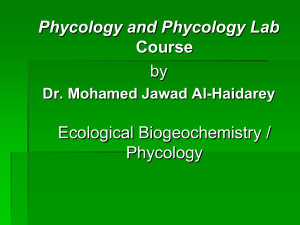 INTRODUCTION TO ALGAL CHARACTERISTICS AND DIVERSITY