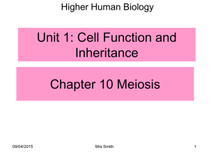 Chapter-10-Meiosis