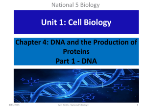 Chapter 4: DNA and the Production of Proteins Part 1