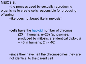 Meiosis Chapter 9