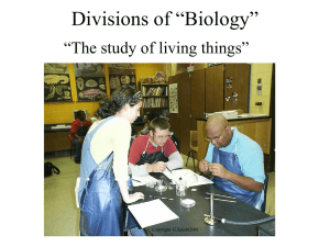 Divisions of biology ppt