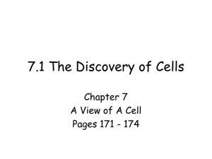 7.1 The Discovery of Cells