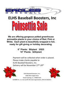 POINSETTIA SALE We are offering gorgeous 6