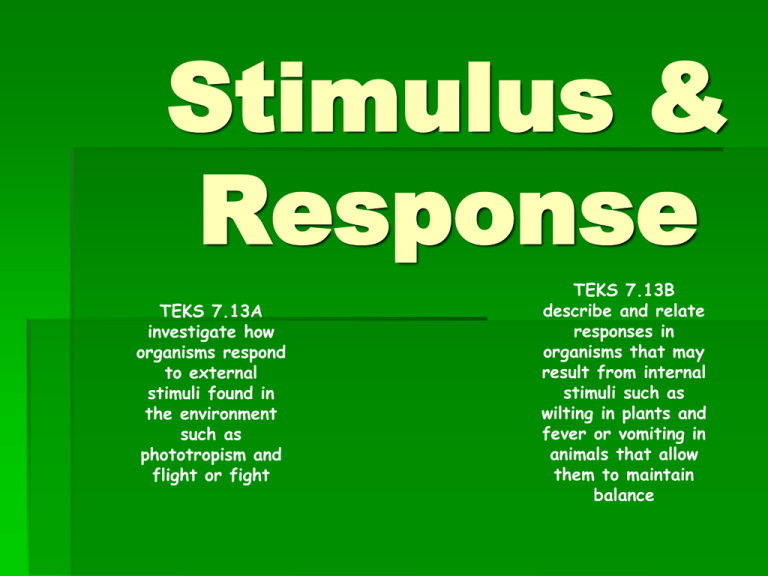 stimulus