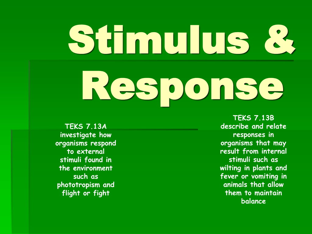 What Respond To Stimulus