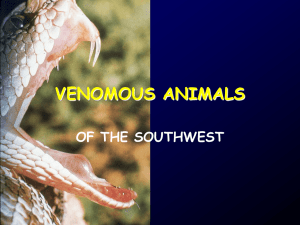 01a_Venomous Animals