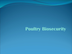 Poultry Biosecurity