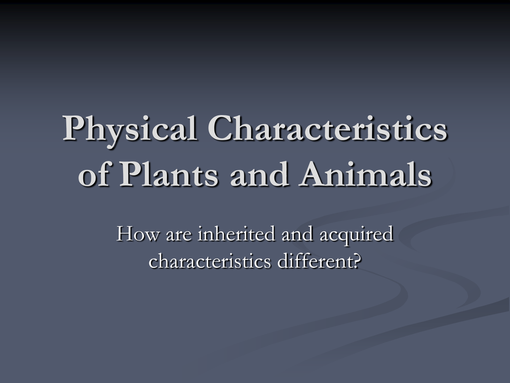 Physical Characteristics of Plants and Animals