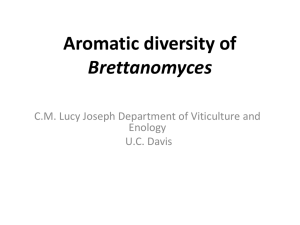 Brettanomyces Aromas