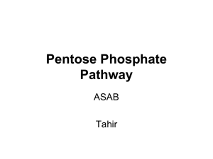 Pentose Phosphate Pathway - Lectures For UG-5