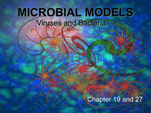 Chapter 19 & 27 - Viruses and Bacteria - Bio-Guru
