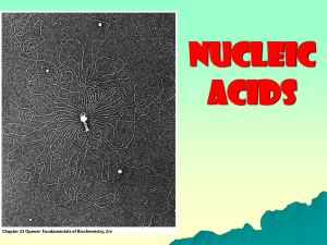 Nucleic acids