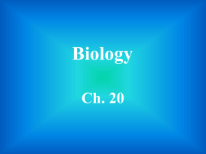 Biology file