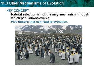 11.3 Other Mechanisms of Evolution