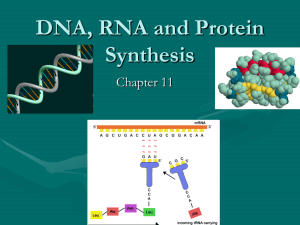 DNA, RNA and Protein Synthesis