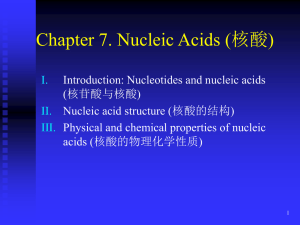 Nucleic acids (核酸)