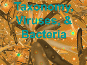Viruses, Bacteria, Protists