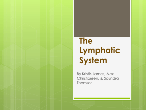 The Lymphatic System “The Garbage Disposal System”