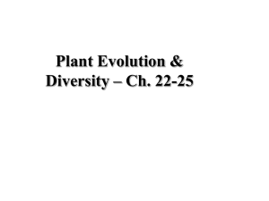 Plant Evolution & Diversity – Ch. 22-25