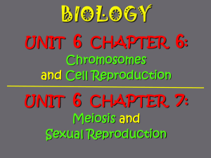 BIO UNIT 6 CHS 6-7 Chromosomes_ Cell Cycle_ Cell Division_
