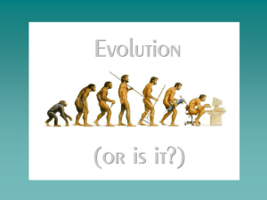Evolution & Populations