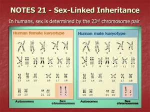 Sex-Linked Inheritance