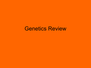 Genetics Review