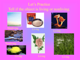 Characteristics Of Life Characteristics Of Life