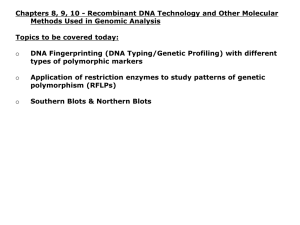 DNA Fingerprinting with Microsatellites, Restriction Fragment Length