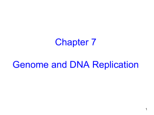 Genomes and Chromosomes - Microbiology and Molecular