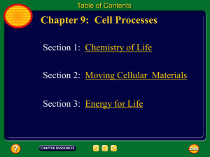 Ch 9 - 3 Energy for Life